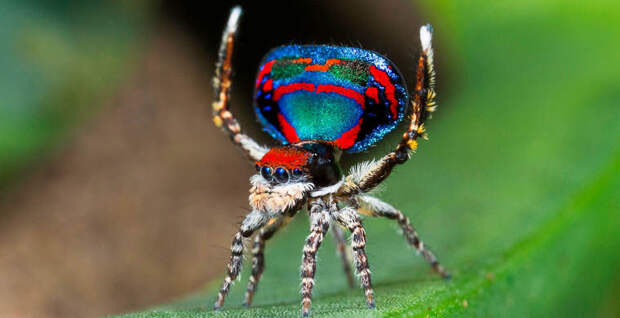 895f040bbef381c9b27b8bf2755d43a8