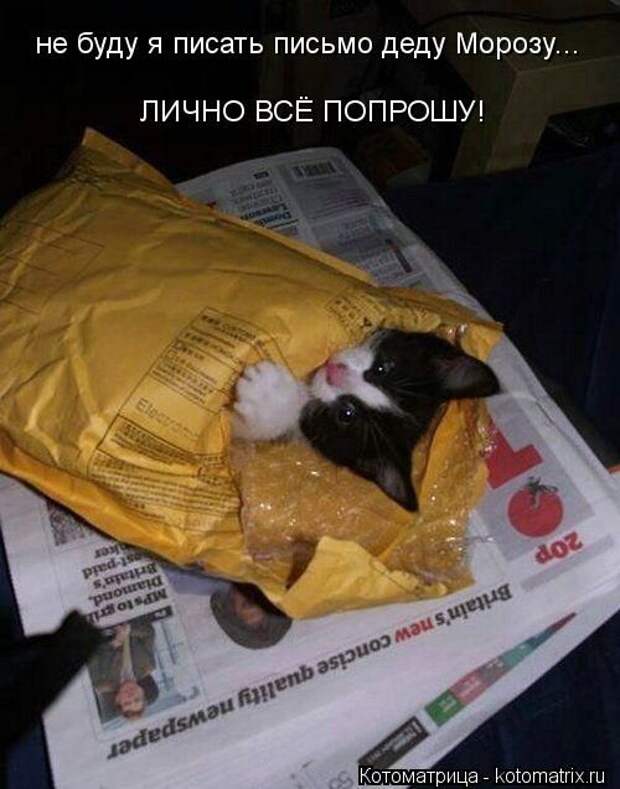 Котоматрицы(картинки с надписями)