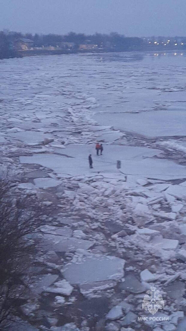 В Новгородской области с плывущей по реке льдины спасали трех юных экстремалов и собаку