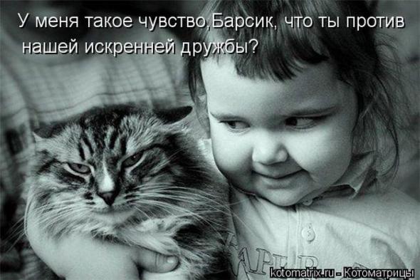 Котоматрицы (картинки с надписями)