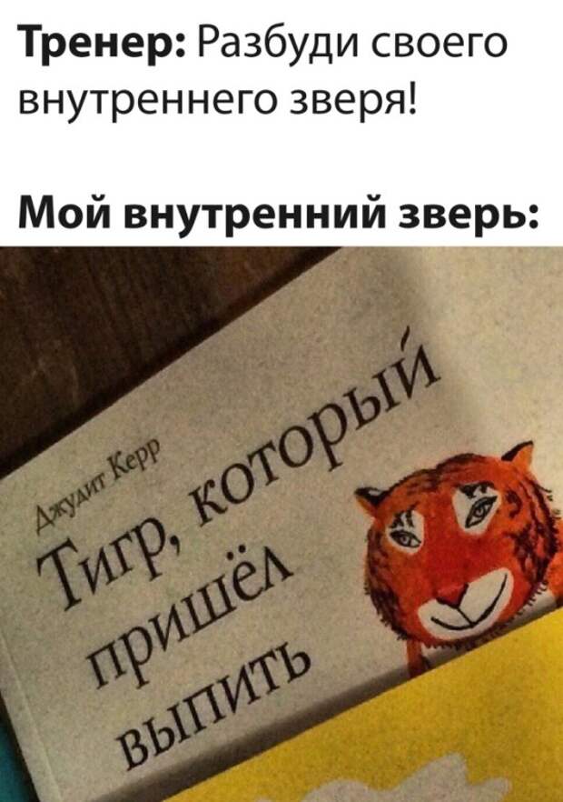 Смешные картинки вечер 28 мая 2021