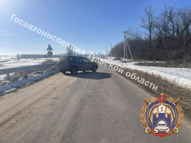 Два пешехода попали под машину в Тепло-Огарёвском районе