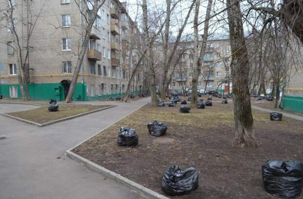 Уборка. Фото: Андрей Федоров