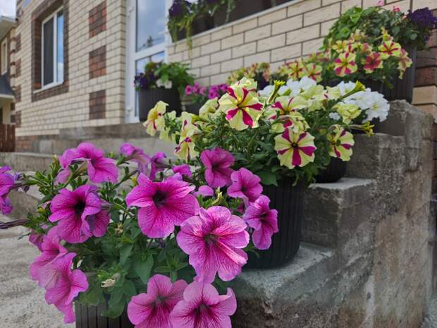 Без комментариев