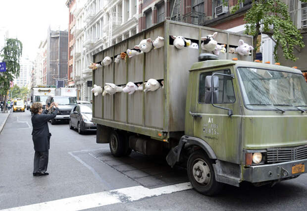Каждый сходит с ума по-своему: но все в восторге Уличный художник Бэнкси, известный своими антисистемными рисунками на стенах во всем мире, взялся и за арт-инсталляции. Его работа под названием Сирены ягнят ( Sirens of lambs ) представляет собой припаркованный в районе Сохо, Нью-Йорк, грузовик, из которого выглядывают плачущие плюшевые зверушки. Причем именно в таком транспортном средстве животных обычно вывозят на бойню. В видео, опубликованном западными порталами, видно, как передвигающийся по городу грузовик с игрушками издает жуткие звуки, как будто их кто-то мучает. Интересное в мире, истории, новости