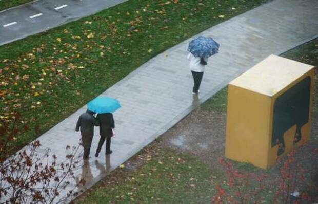 Погода на Кубани 23 апреля: дожди, ветер, град