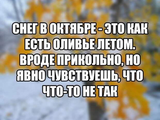Прикольные картинки. Дневной выпуск (50 фото)