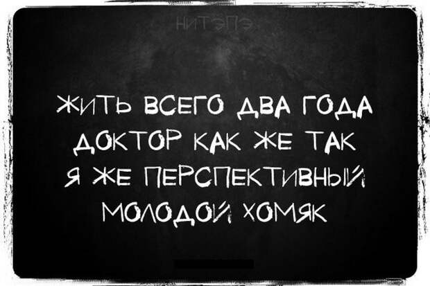 Открытки, почти попадающие в мысли моей новой бывшей девушки, прикол