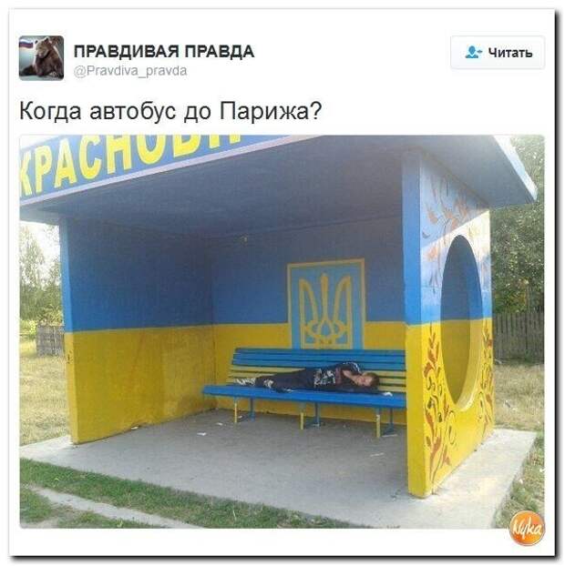 post-3562-0-51287800-1480486145.jpg