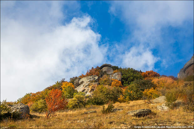 Осень в Крымских горах