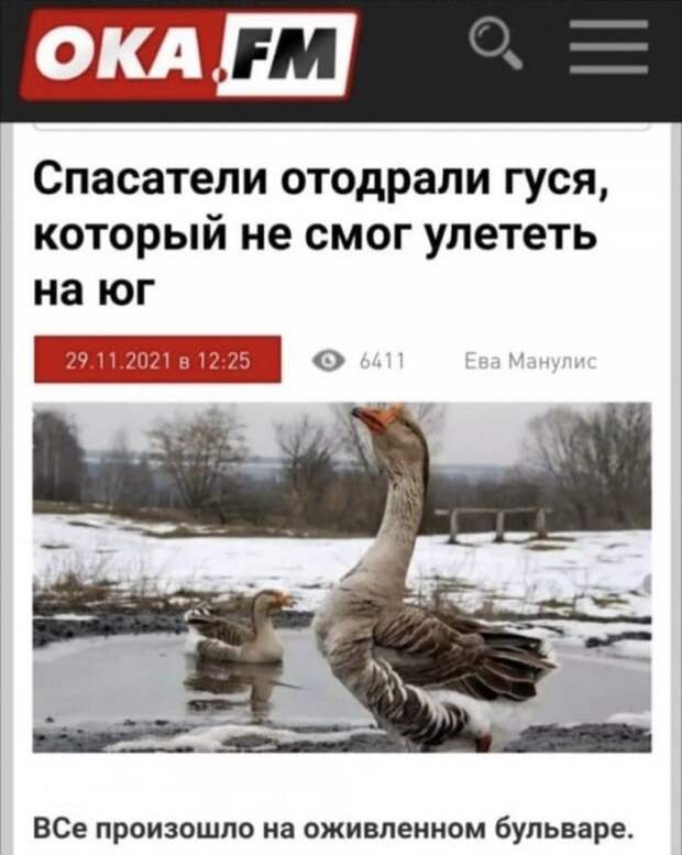 Лучшие шутки и мемы из Сети