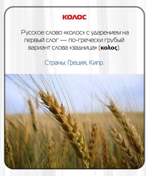 Какие русские слова нельзя говорить за границей ругательства, заграница, иностранцы, русский, слова