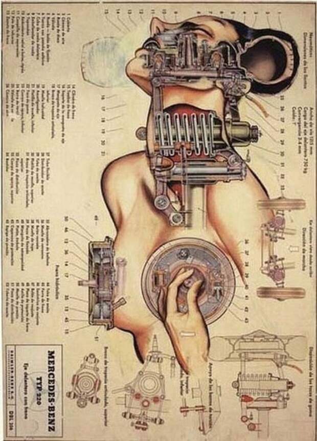 Устройство женщины глазами автомеханика art, механизм