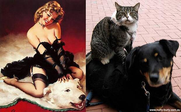 Кошки и девушки в стиле пинап pinupcats16 Кошки и девушки в стиле пинап