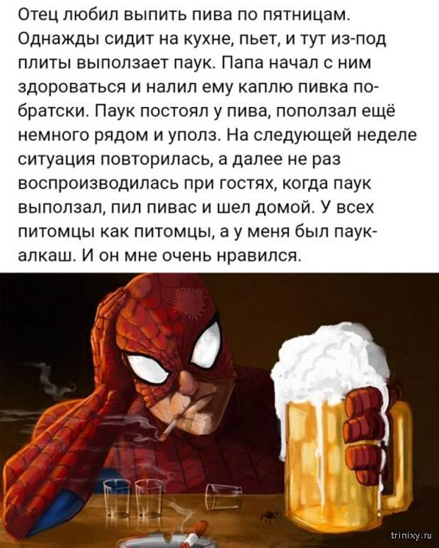 Социальные сети - кладезь юмора (20 фото)