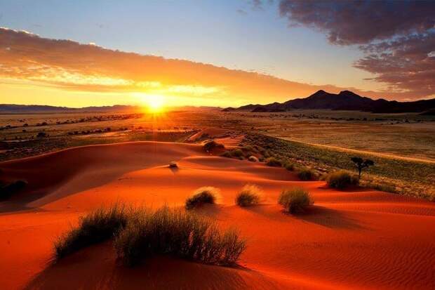 Намибия. Фото из открытого источника.
