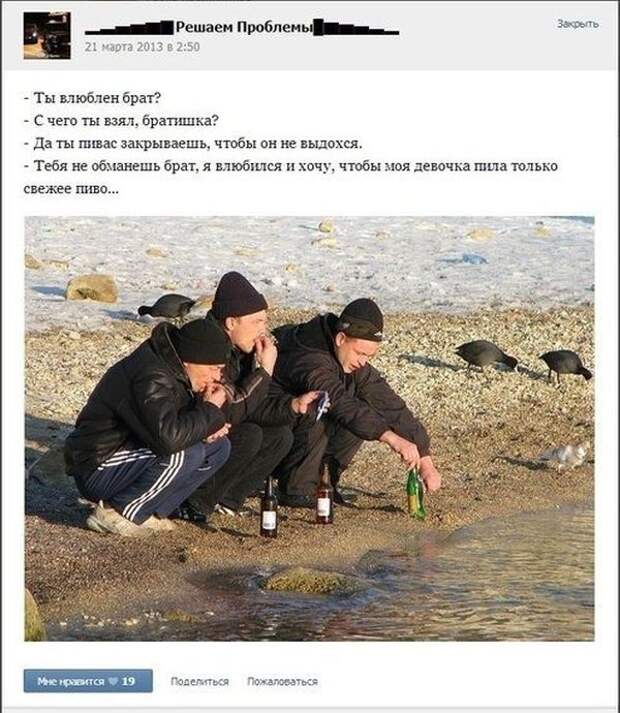 Прикольные картинки Прикольные картинки