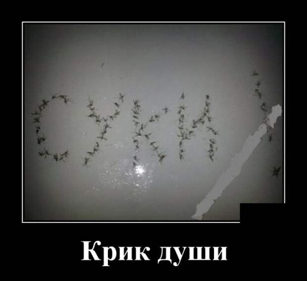 Демотиваторы