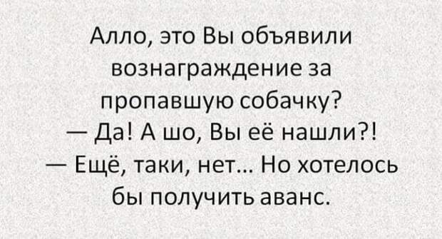 Жена: - Мой же ты сладенький, мой же ты хорошенький! Что, нагулялся?...