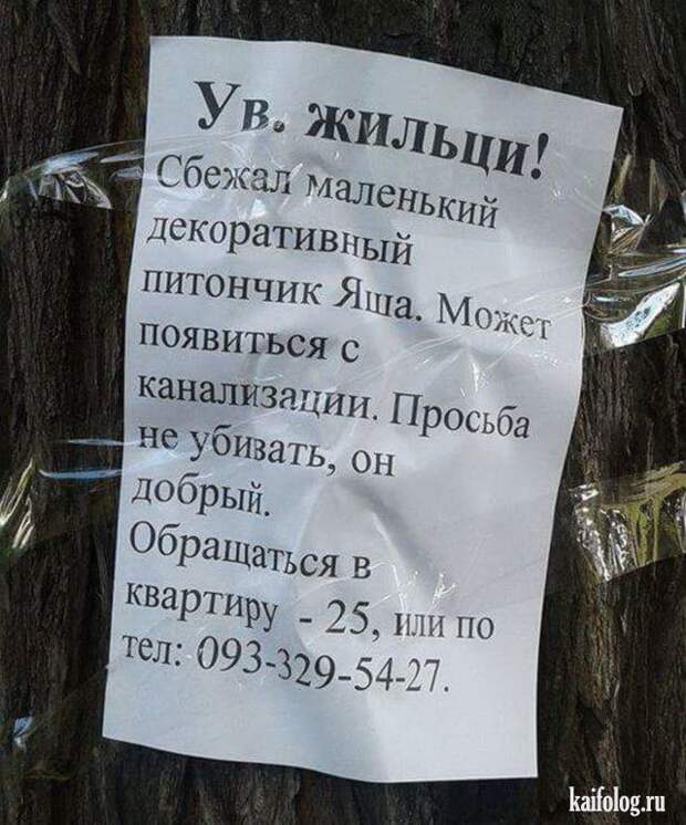 Русские приколы и маразмы (50 фото) Русские приколы и маразмы (50 фото)