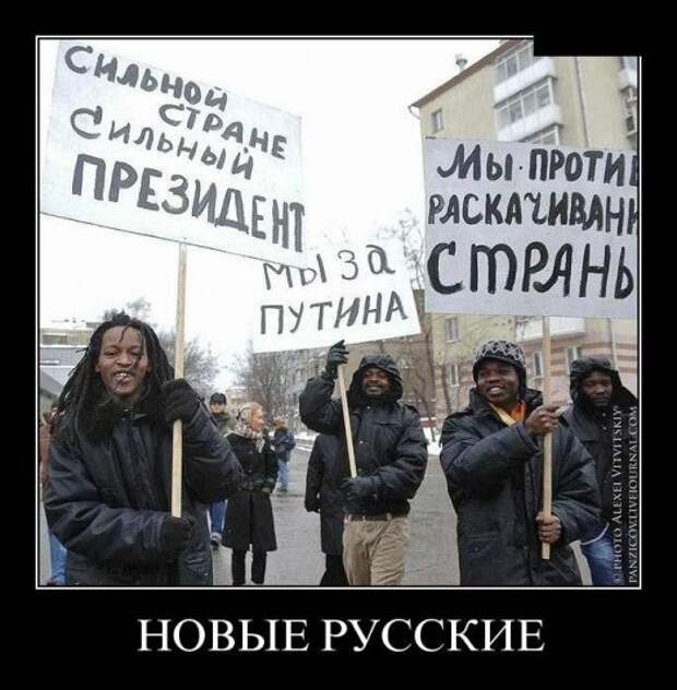 Демотиваторы 6.05.13