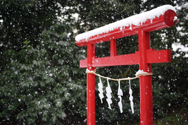 Tokyo First Snow In November 2016