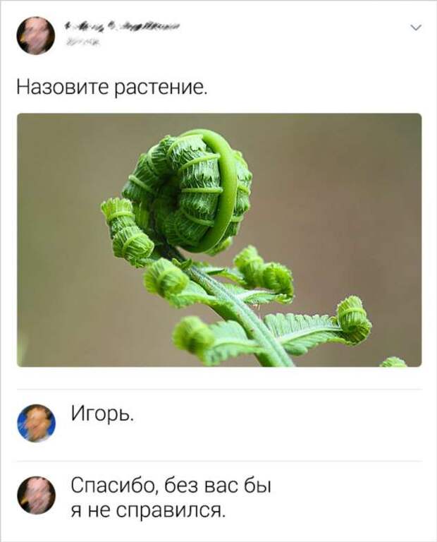 16 человек, которые восприняли все чересчур буквально