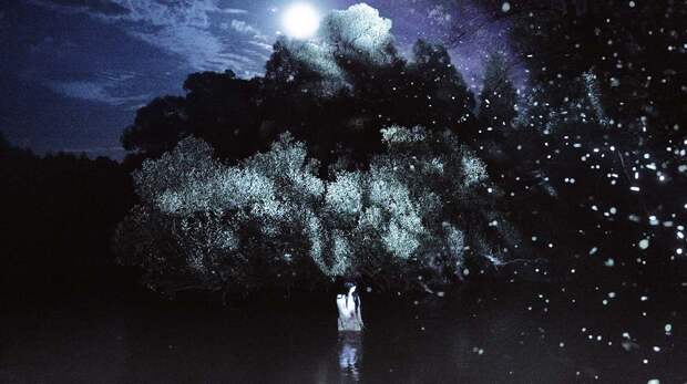 Галлюцинат (2025) Галлюцинат (2025)