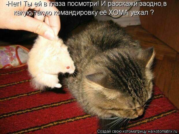 Мысли вслух :)