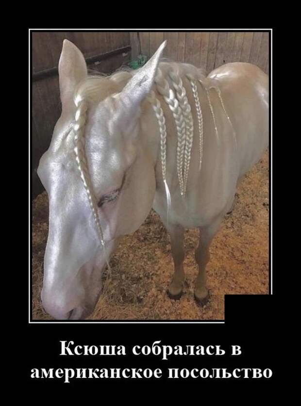 Демотиваторы 10 июня 2021