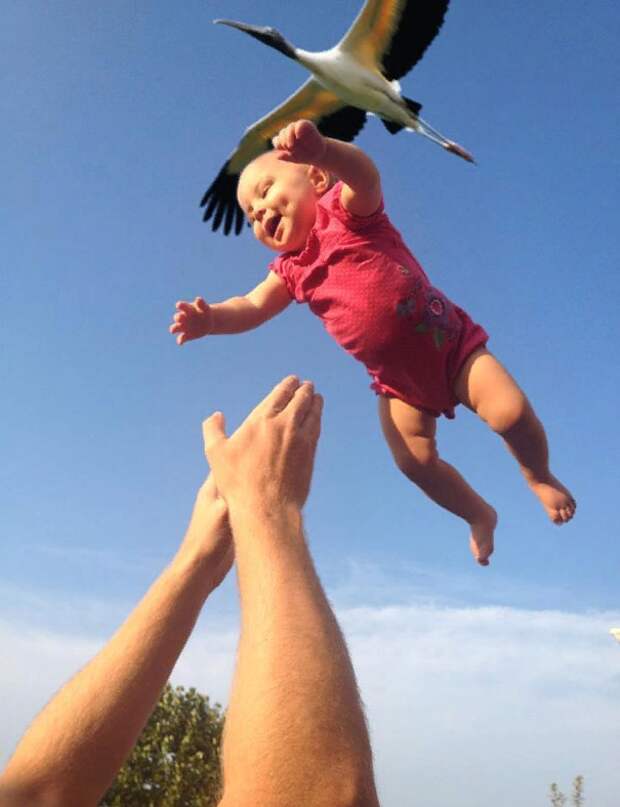 Несколько фотографий, сделанных в нужный момент