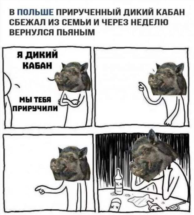 Неадекватный юмор из социальных сетей. Подборка chert-poberi-umor-chert-poberi-umor-16310913072020-13 картинка chert-poberi-umor-16310913072020-13
