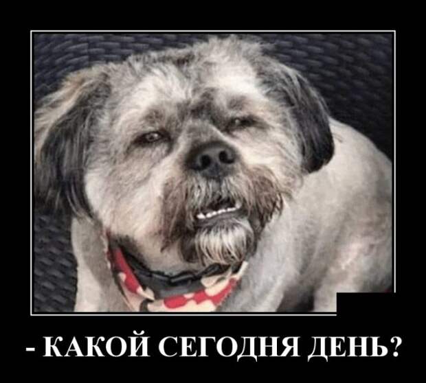 www.vsyako.net