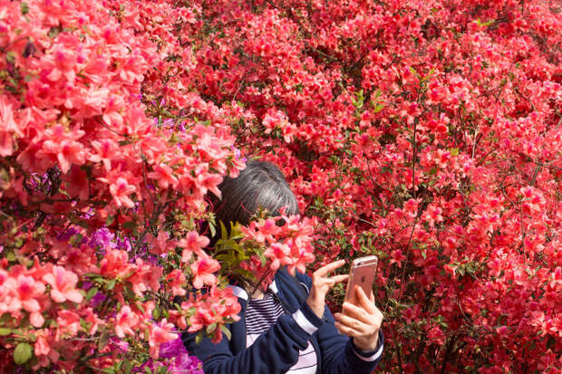 Весенние краски в провинции Гуандун, Китай