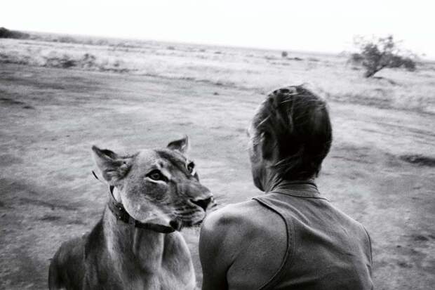Фотографы против браконьеров: душераздирающие кадры преступлений против дикой природы
