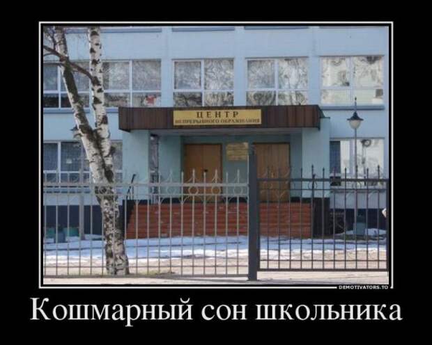 Немного новых демотиваторов