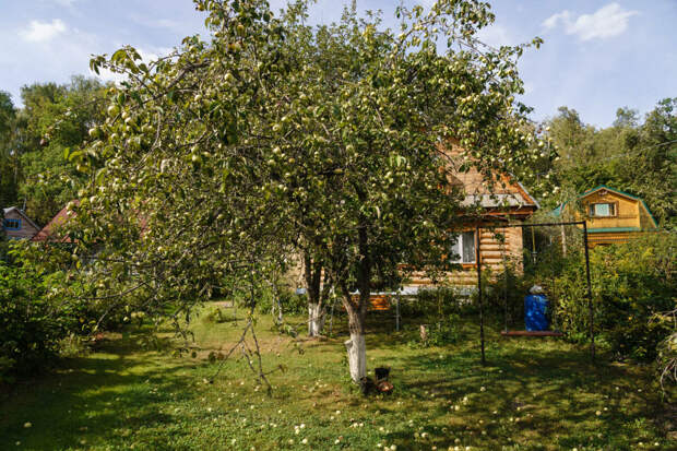 Бакча йорты, мунча һәм гараж: юрист дачада нәрсә төзергә рөхсәт ителүен әйтте