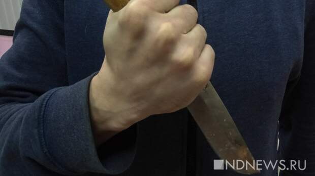 Воспитатель спасла детсадовцев от нападения в Оренбуржье