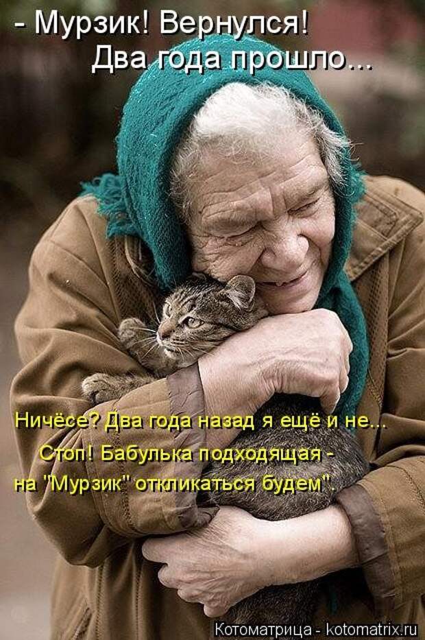 Новая котоматрица для всех! (36 фото)