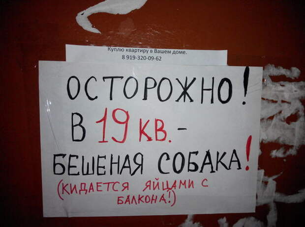 Ни слова не спросит - откусит и бросит.... люди, объявление, прикол, юмор