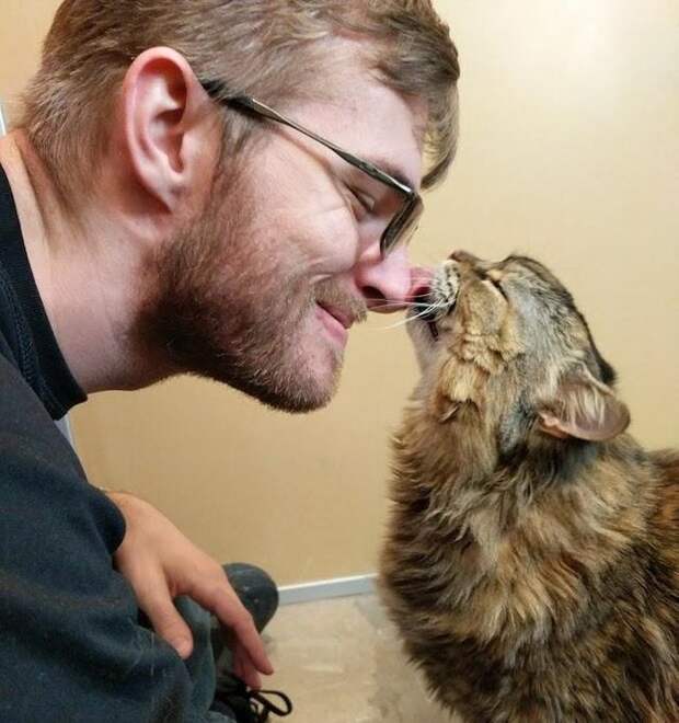 26 фотографий, которые легко дадут фору антидепрессантам