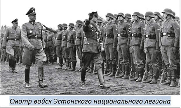 Эстонский легион СС занимался карательными рейдами и борьбой с партизанами.