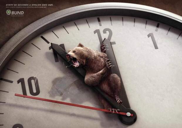 рекламные кампании о животных раскрывающие правду (10)