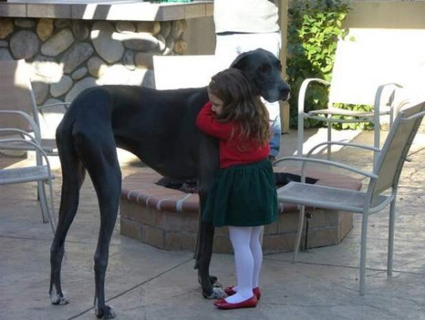 http://www.lubopiten.com/uploads/posts/2012-08/1344197878_funny-pictures-8.jpg