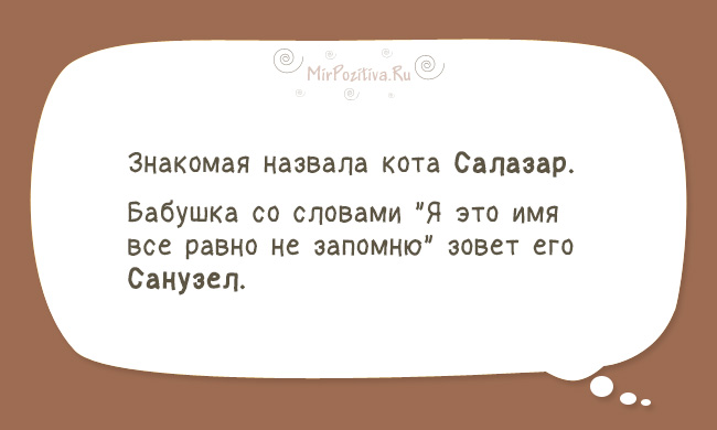 10+ коротких жизненных истории, которые заставят похохотать