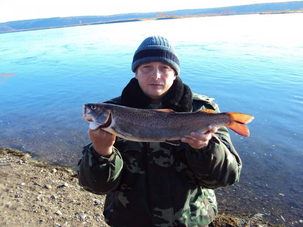 Рыбы забайкалья
