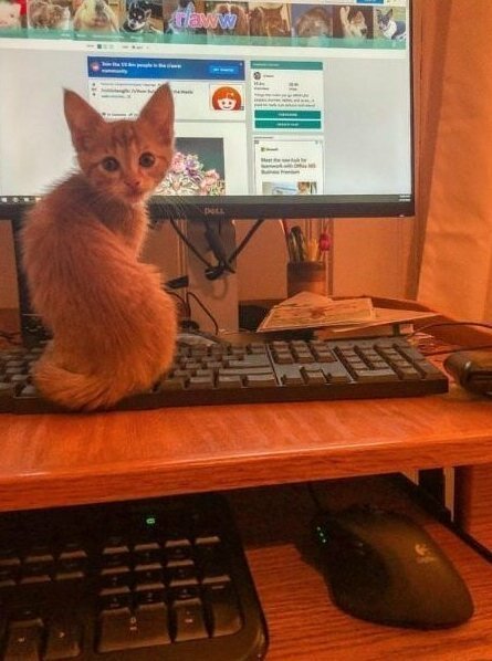 19 житейских хитростей, которые хочется сразу попробовать 19 житейских хитростей, которые хочется сразу попробовать