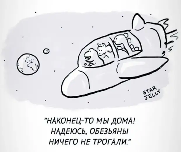 Подборка приколов (32 шт)