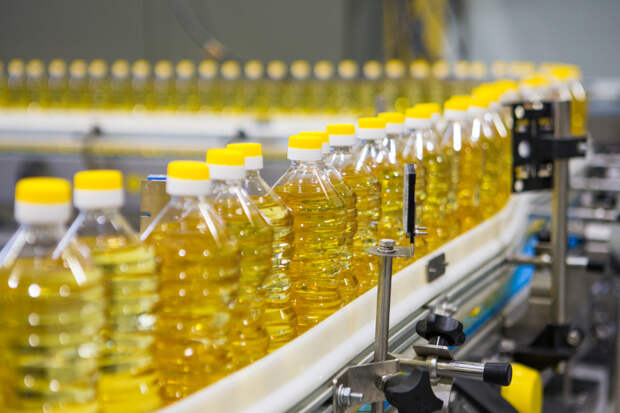 В Адыгее в 2026 году планируют реализовать четыре инвестпроекта