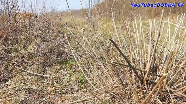 Как превратить цепную пилу в триммер-кусторез полезная съемная оснастка
